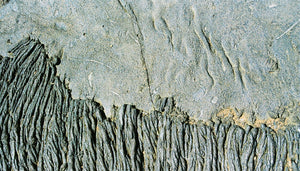 Rock Faults