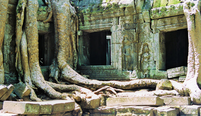 Hidden Angkor